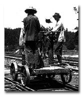 Chinese Railrooad Workers